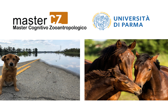 Università degli Studi di Parma – Master di II livello “Emergenza Veterinaria nelle catastrofi” e Master di I livello “Istruzione e Riabilitazione negli equidi Cognitivo Zooantropologica”
