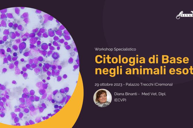 Workshop Specialistico SIVAE: “Citologia di Base negli animali esotici”