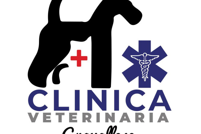 CLINICA VETERINARIA GRAVALLESE – TERRACINA: RICERCA COLLABORATORI.