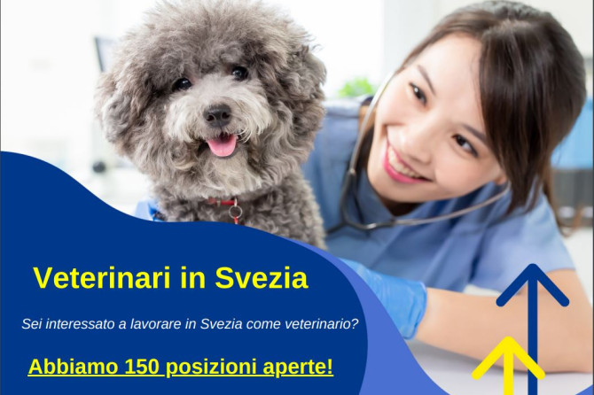 EURES – Possibilità di lavoro per Veterinari in Svezia e reclutamento: Webinar informativo e colloquio a Roma.