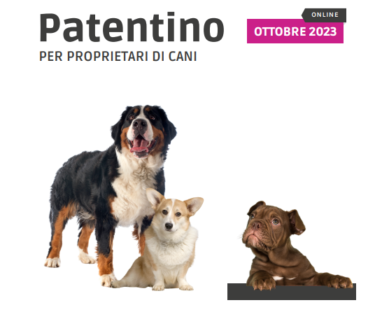 Evento OMV Cremona: “Patentino per proprietari di cani”.