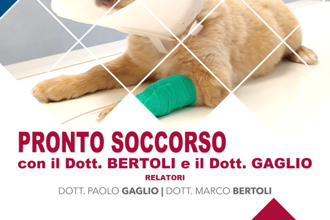 Corso in presenza: Pronto Soccorso – Gaeta 3-4-5 novembre 2023