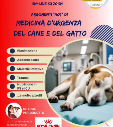 Corso Online – Cogito Ergo Vet: “Argomenti “hot” di MEDICINA d’URGENZA del cane e del gatto” – 27-28/01/2024