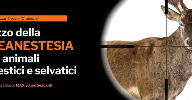 Workshop Specialistico – SIVAE: “Utilizzo della Teleanestesia negli animali domestici e selvatici.” –  10 marzo 2024