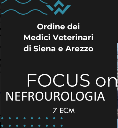 Corso ECM OMV SI e AR: “AGGIORNAMENTO SCIENTIFICO in Nefrologia e Urologia del cane e del  gatto” – 20 Aprile 2024