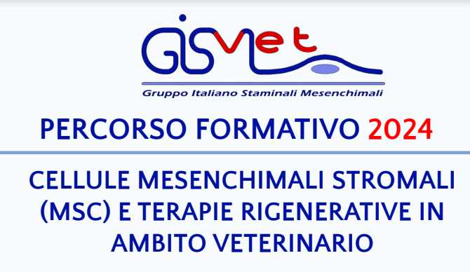 Percorso Formativo 2024 – GISMVet: “Utilizzo di Cellule Stromali/Staminali Mesenchimali negli animali”