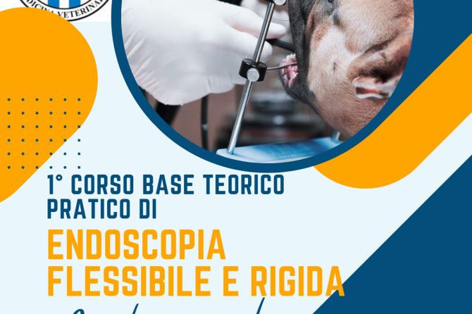 Corso Base – UNIPG: “Primo corso base teorico-pratico di endoscopia flessibile e rigida dei piccoli animali” – 29-30/11-1/12/2024