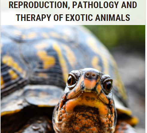 Master II livello – UNIPR: “Riproduzione, patologia e terapia degli animali non convenzionali”- 2° ed.