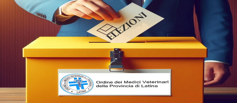 Elezioni
