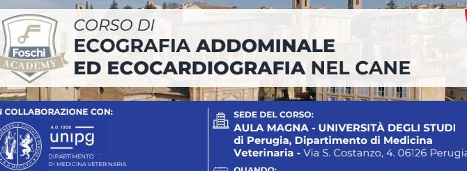 Corso UNIPG: “Ecografia addominale ed ecocardiografia nel cane” – Ed. 2026