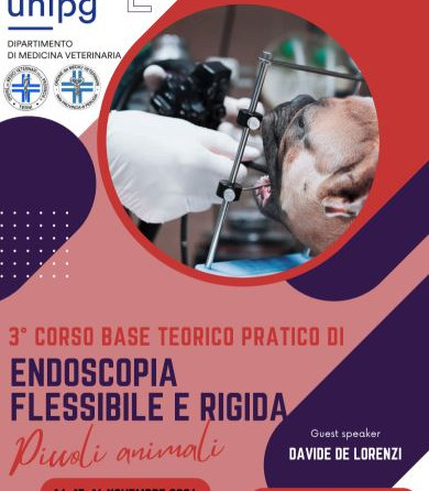 Corso Base – UNIPG: “Corso base teorico-pratico di endoscopia flessibile e rigida dei piccoli animali”, 3° ed. – 14-16 Novembre 2026