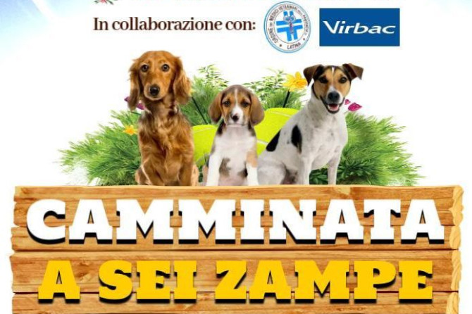 Evento sociale – Comune di Sermoneta: “Camminata a 6 zampe”; 11 luglio 2025