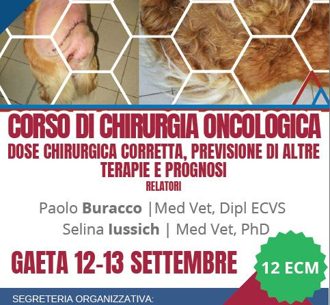Corso ECM, Gaeta: “Chirurgia oncologica – Dose chirurgica corretta, previsione di altre terapie e prognosi”. – 12-13 Settembre 2025