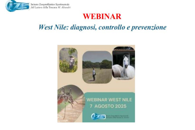 Webinar IZS LT: “West Nile: diagnosi, controllo e prevenzione” – 7 agosto 2025