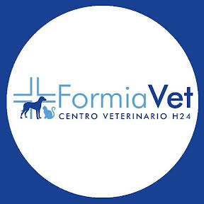 Ospedale Veterinario FormiaVet: OFFERTA BORSA DI STUDI