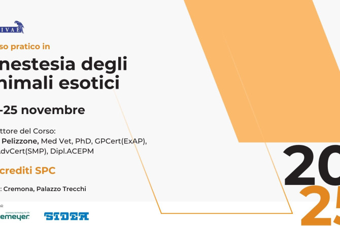 Corso SIVAE: “Anestesia degli animali esotici”. 22-25 Novembre 2025.
