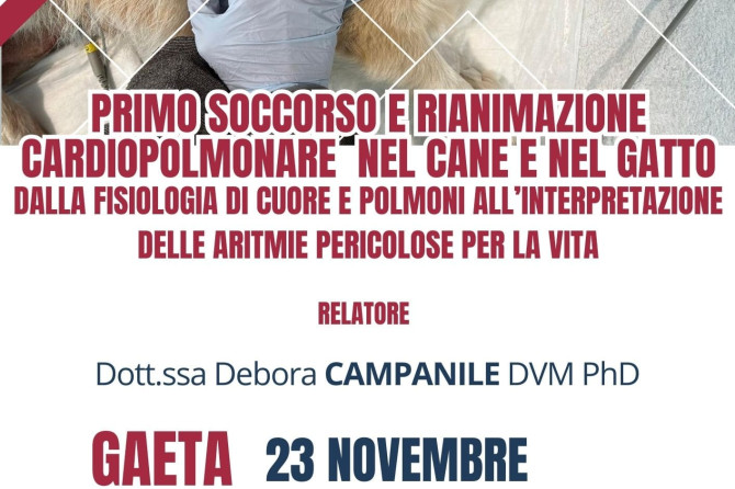 Corso Gaeta (LT): “PRIMO SOCCORSO E RIANIMAZIONE CARDIOPOLMONARE NEL CANE E NEL GATTO”. – 23 Novembre 2025