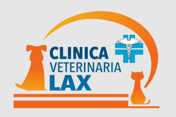 Clinica Veterinaria “LAX” – Aprilia (LT): RICERCA COLLABORATORI