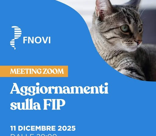Webinar FNOVI: “AGGIORNAMENTI SULLA FIP” – 11 DICEMBRE 2025