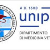 Invito alla compilazione del sondaggio: “Approccio clinico e terapeutico alle enteropatie croniche del cane e del gatto”