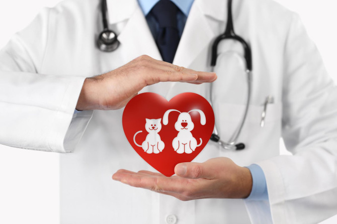 4evolutionVET informa: Ciclo di webinar di aggiornamento in Medicina Veterinaria Integrata e Rigenerativa