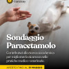 Invito alla compilazione del sondaggio: “Uso del PARACETMOLO negli animali domestici”