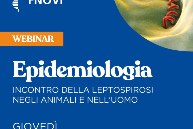 Meeting Zoom – FNOVI: “Epidemiologia della leptospirosi negli animali e nell’uomo” – 19 marzo 2026