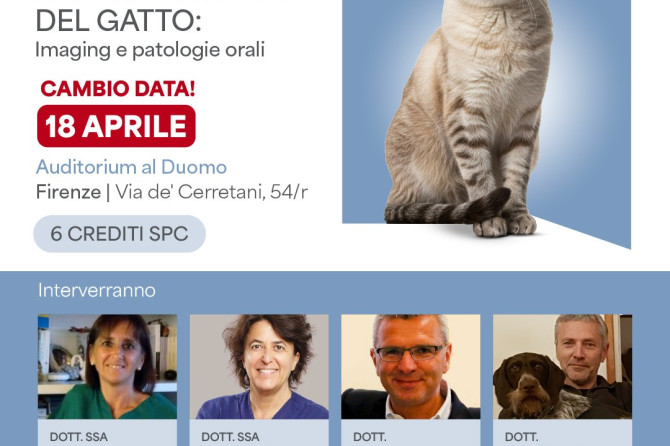 Simposio Ecuphar Odontostomatologia Veterinaria: “Dentro la bocca del gatto: Imaging e patologie orali” – III Edizione; Cambio data: 18Aprile 2026