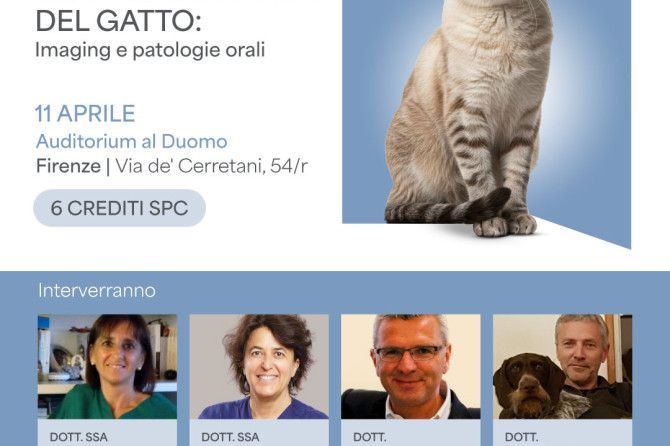 Simposio Ecuphar Odontostomatologia Veterinaria: “”Dentro la bocca del gatto: Imaging e patologie orali” – III Edizione; Aprile 2026