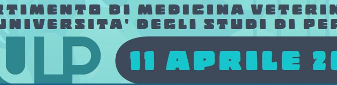 Evento AVULP “Endocrinopatie ed ultrasuoni”- Perugia 11/04/2026