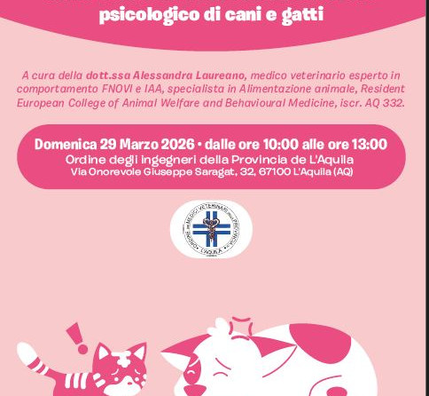 Evento formativo – OMV L’Aquila: “DOLORE, EMOZIONI, COMPORTAMENTO: come il dolore influisce sul benessere psicologico di cani e gatti” – 29 marzo 2026