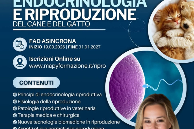 Corso FAD ECM-VetHermes/Mapy: “Endocrinologia e riproduzione del cane e del gatto”