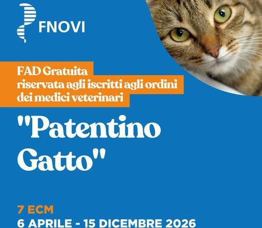 FAD ECM FNOVI: “Patentino GATTO”