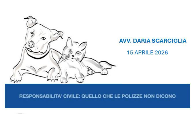 Webinar OMV AR: “Responsabilità civile: quello che le polizze non dicono” – 15 Aprile 2026