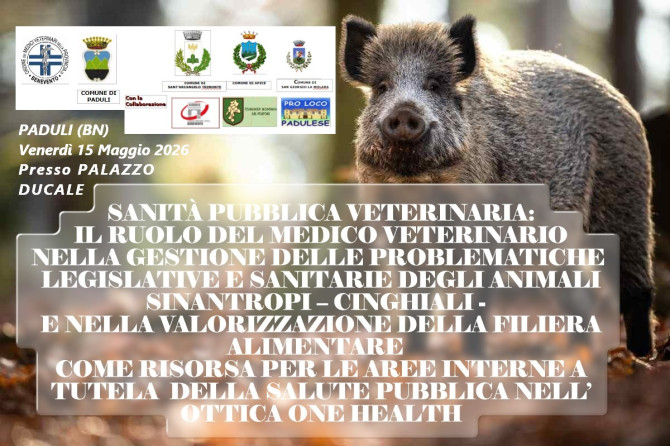 Corso ECM- OMV BN:”Sanità Pubblica Veterinaria: Il ruolo del Medico Veterinario nella gestione delle problematiche legislative e sanitarie degli animali sinantropi – cinghiali e nella valorizzazione della filiera alimentare come risorsa per le aree interne a tutela della salute pubblica nell’ottica “One Health” – 15/05/2026