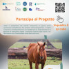 QUESTIONARIO PESTE EQUINA E DURINA RC LT 08 24