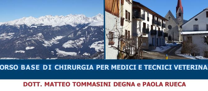 CORSO BASE: CHIRURGIA PER MEDICI E TECNICI VETERINARI – Percha (BZ)
