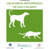 Linee guida “Uso prudente dell’antibiotico nel cane e nel gatto”- Ministero della Salute