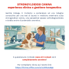Invito alla compilazione del questionario UNIPG: “Strongyloidosi canina”