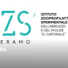 Sistema Informativo Veterinario/REV: Accesso con credenziali forti – Video pillola informativa
