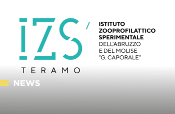 Sistema Informativo Veterinario/REV: Accesso con credenziali forti – Video pillola informativa