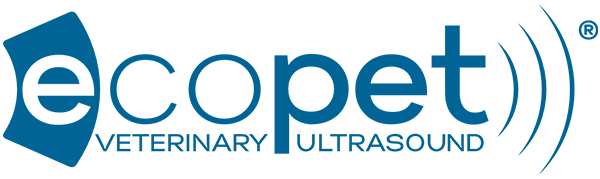 ECOPET – Corsi di ecografia veterinaria.