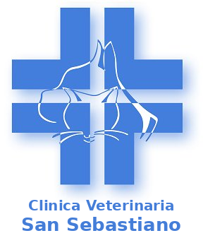 Offerta di lavoro per MEDICO VETERINARIO — Clinica Veterinaria San Sebastiano | Minturno (LT)