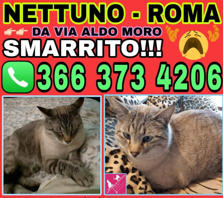 Scomparso Artù.