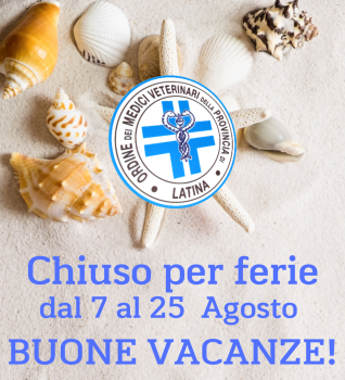 Instagram Story Chiusura Ferie Estive Fotografico Marino Bianco Semplicce