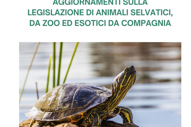 Corso di formazione – UNIPR: “Aggiornamenti sulla legislazione di animali selvatici, da zoo ed esotici da compagnia”