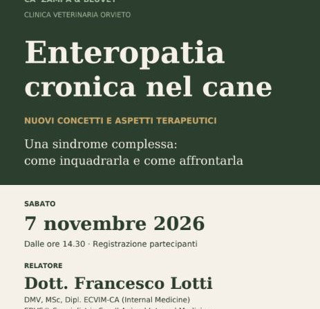Evento formativo Ca’Zampa & BLUVET: “Enteropatia cronica nel cane” – 7 novembre, Orvieto