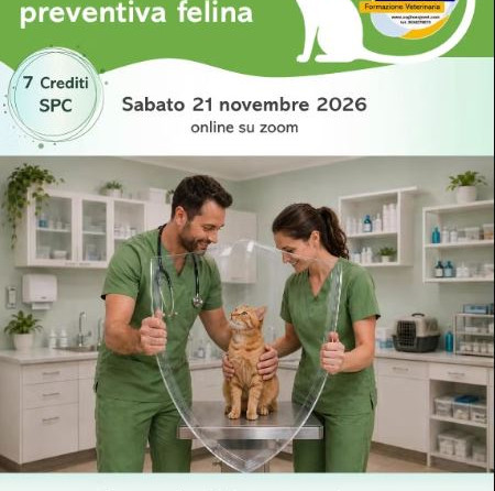 Corso online – Cogito Ergo Vet: “Medicina Preventiva Felina”.