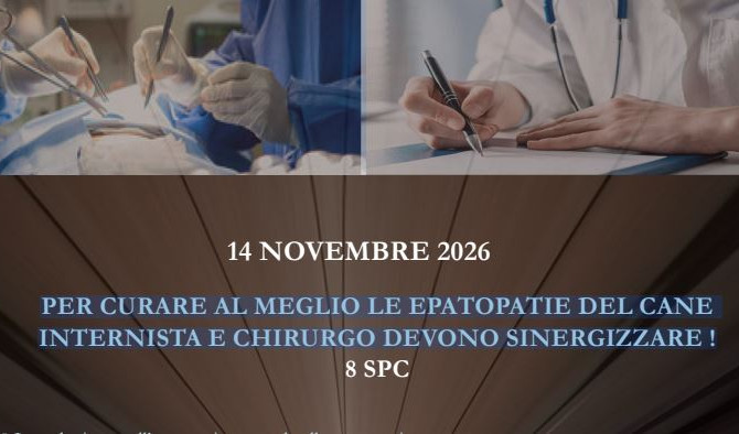 Corso OMV SI: “PER CURARE AL MEGLIO LE EPATOPATIE DEL CANE INTERNISTA E CHIRURGO DEVONO SINERGIZZARE!”